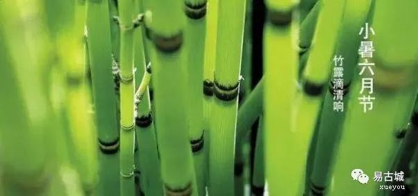 小暑养生知识大全最新版,小暑中医养生知识