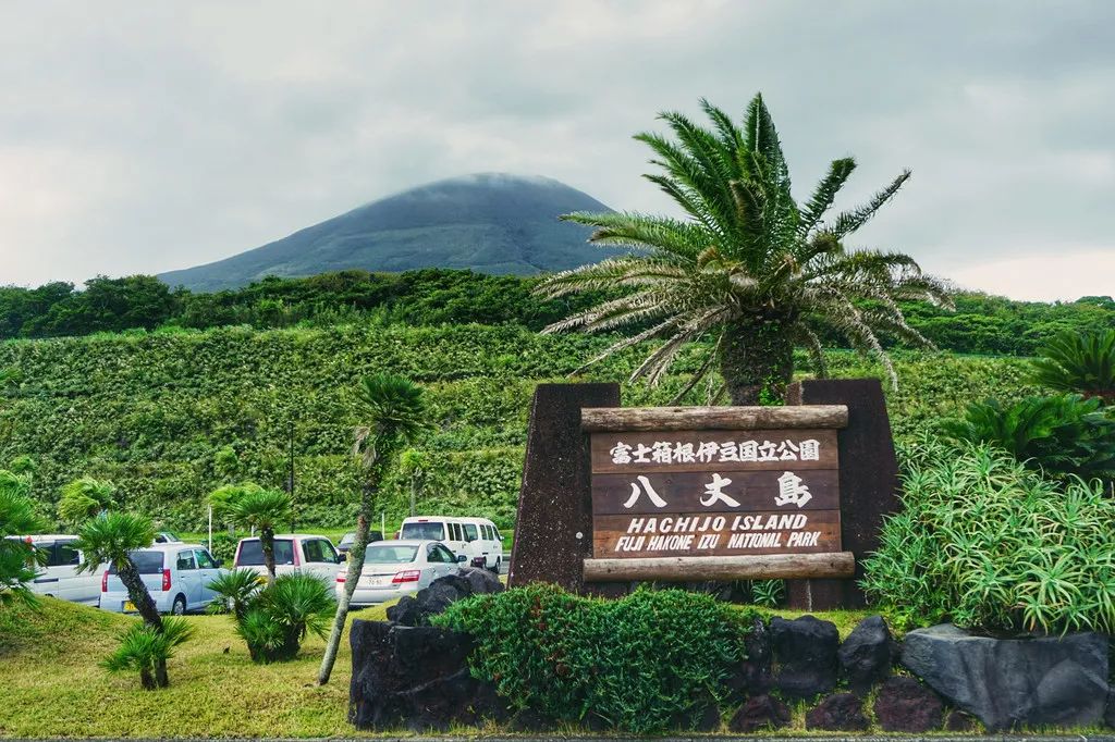 日本确定3月1日开放入境吗,日本开放办理工作签证的最新消息