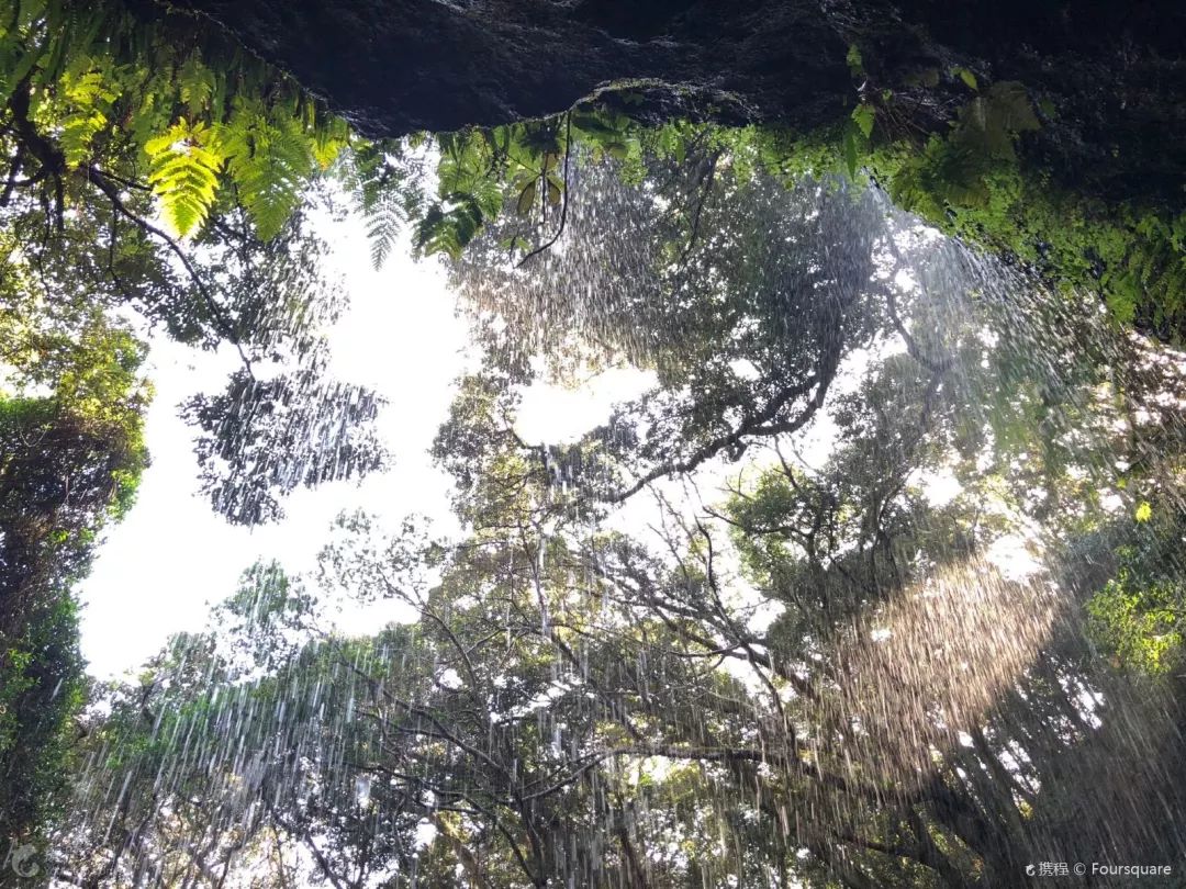 日本确定3月1日开放入境吗,日本开放办理工作签证的最新消息