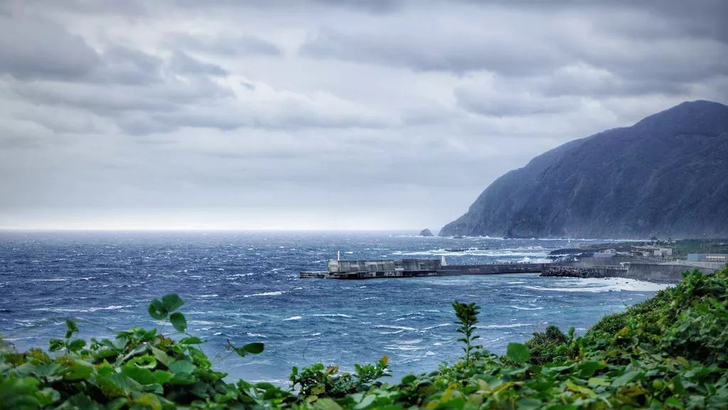 日本确定3月1日开放入境吗,日本开放办理工作签证的最新消息