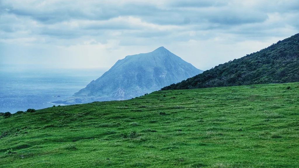 日本确定3月1日开放入境吗,日本开放办理工作签证的最新消息