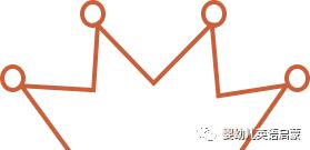 其他培训班上从未见过的高端英语内容,短短一个月我竟然可以和孩子说这么多