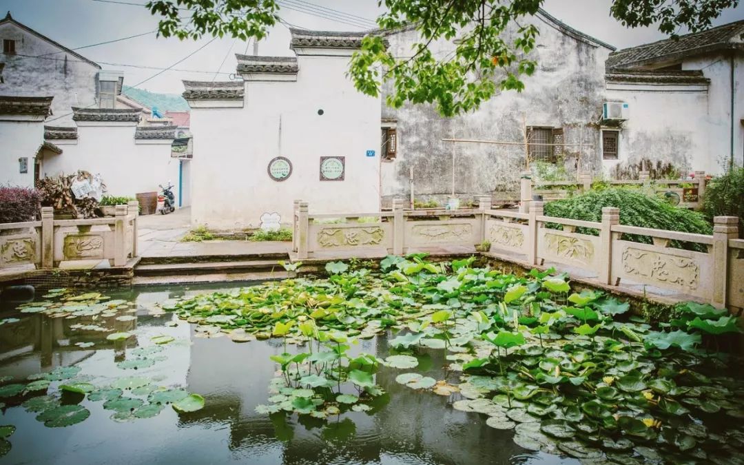 这座跟着周杰伦空降热搜的杨梅味小城，休渔期也能让你吃得满嘴鲜