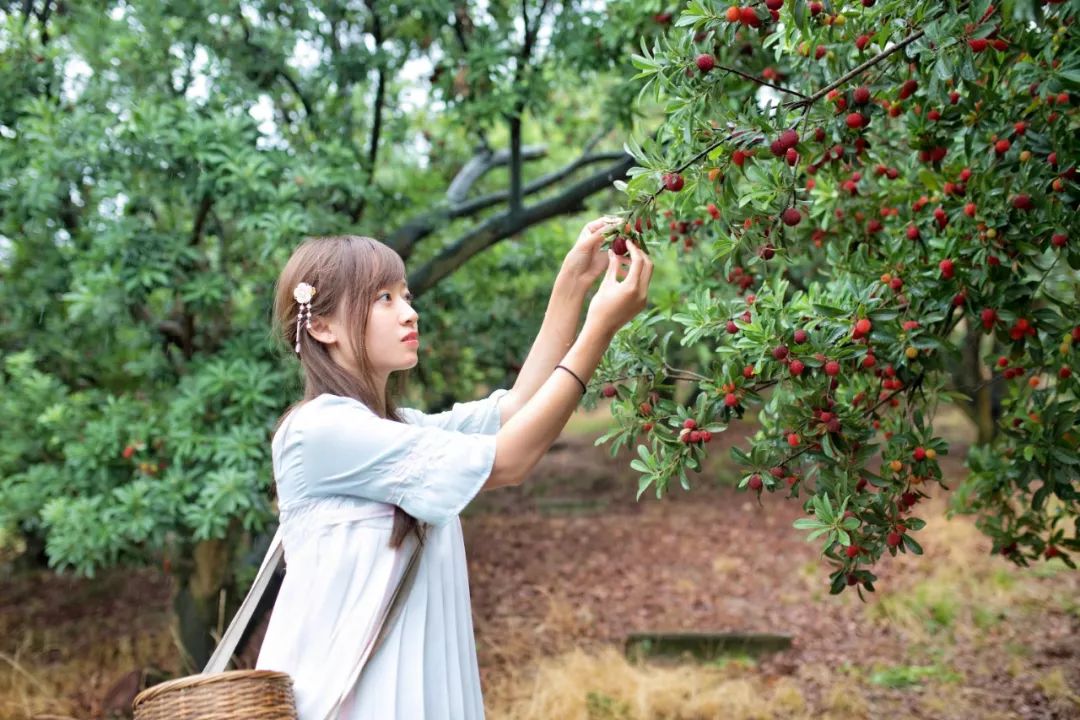 这座跟着周杰伦空降热搜的杨梅味小城，休渔期也能让你吃得满嘴鲜