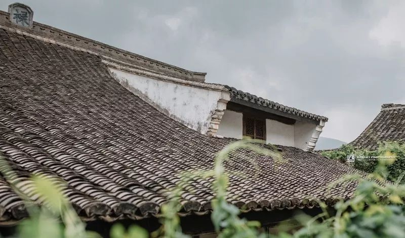 这座跟着周杰伦空降热搜的杨梅味小城，休渔期也能让你吃得满嘴鲜