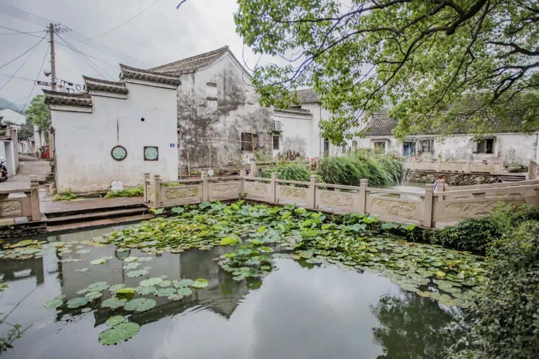 这座跟着周杰伦空降热搜的杨梅味小城，休渔期也能让你吃得满嘴鲜