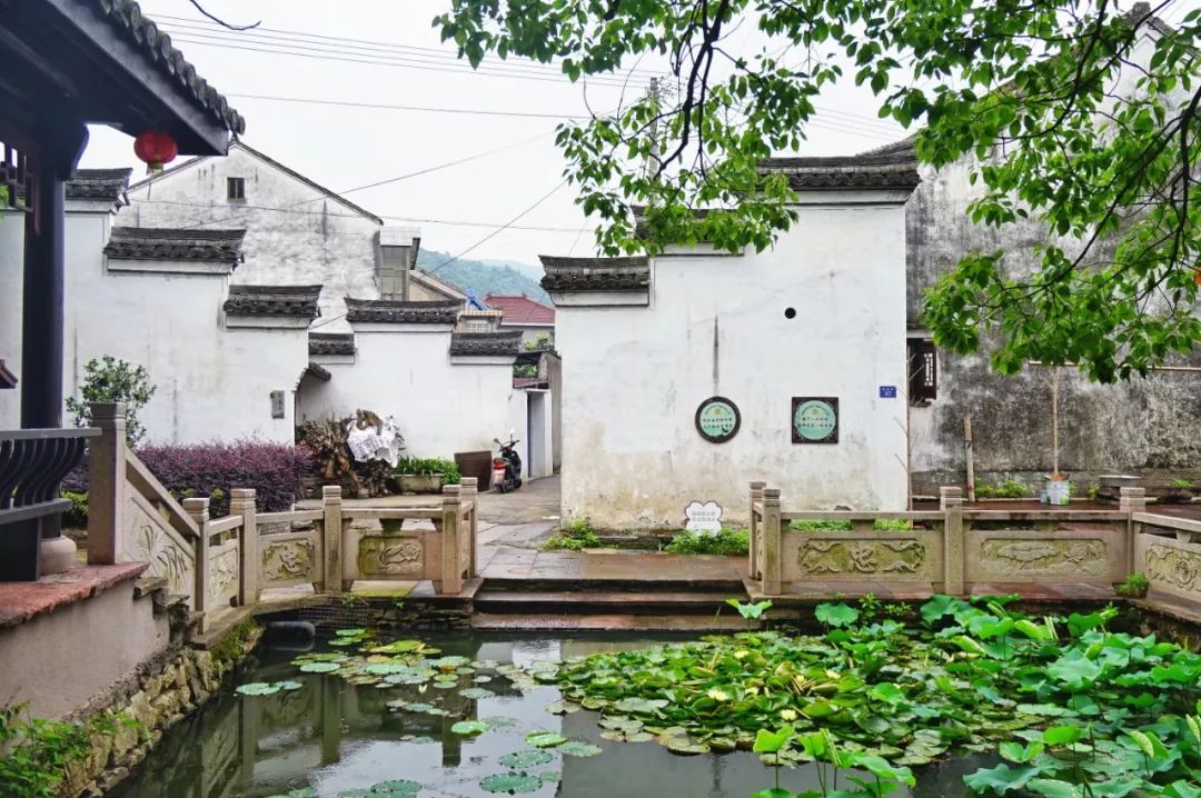 这座跟着周杰伦空降热搜的杨梅味小城，休渔期也能让你吃得满嘴鲜