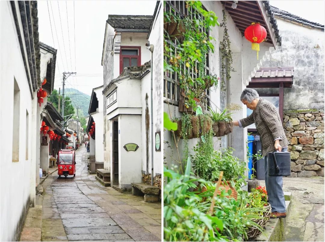 这座跟着周杰伦空降热搜的杨梅味小城，休渔期也能让你吃得满嘴鲜