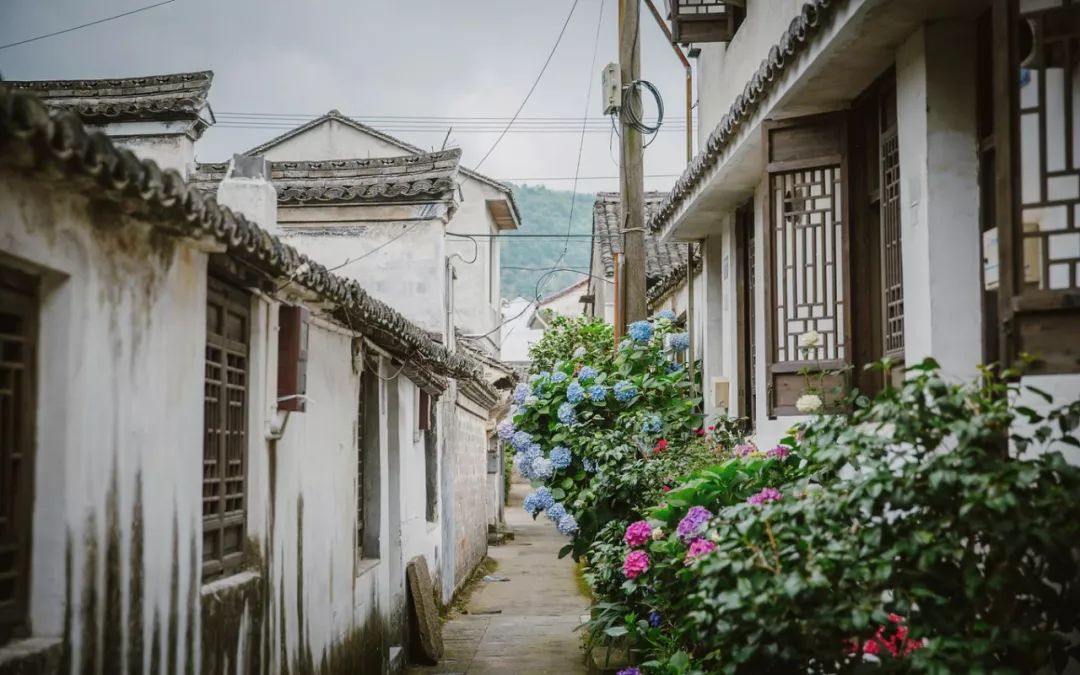 这座跟着周杰伦空降热搜的杨梅味小城，休渔期也能让你吃得满嘴鲜