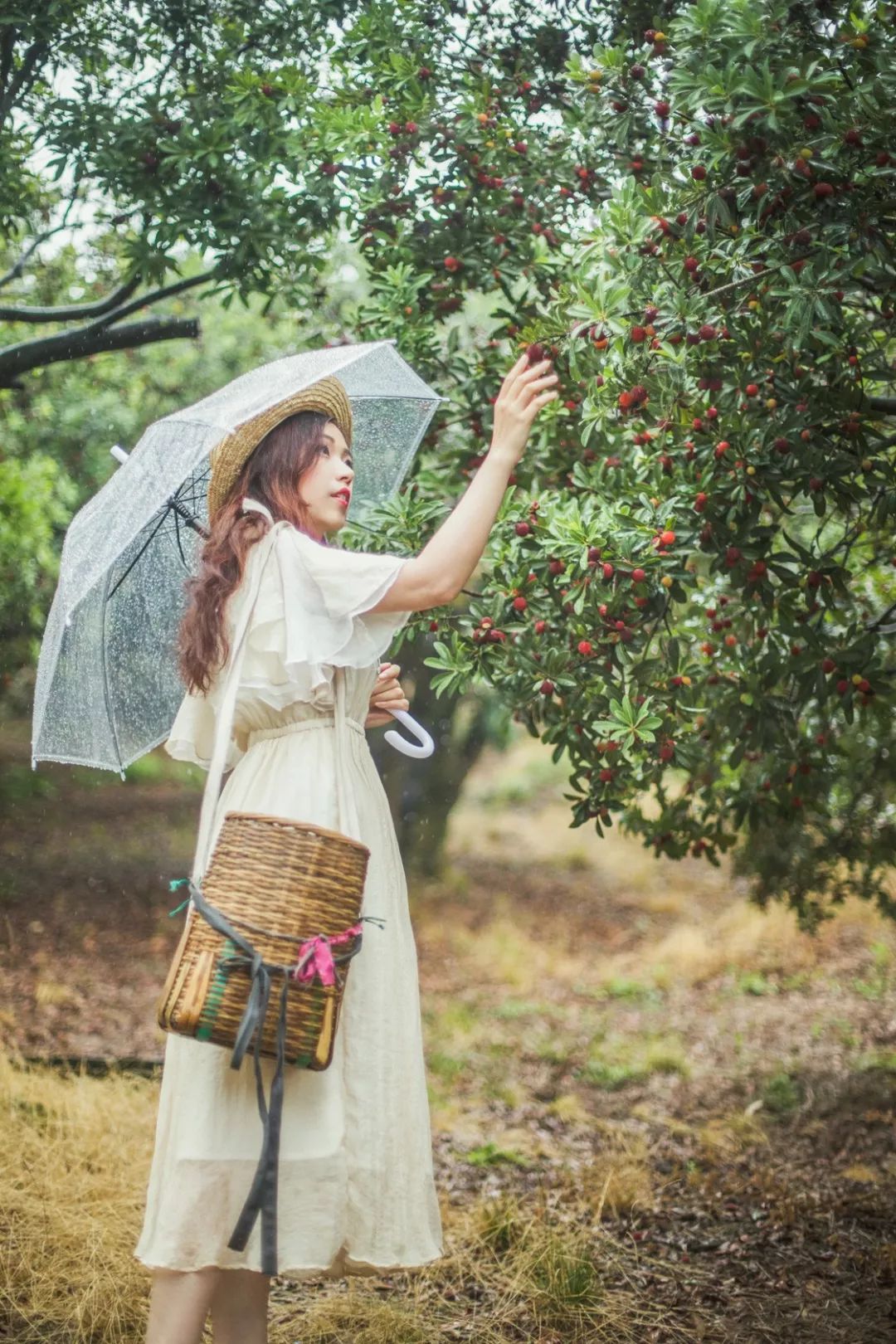 这座跟着周杰伦空降热搜的杨梅味小城，休渔期也能让你吃得满嘴鲜