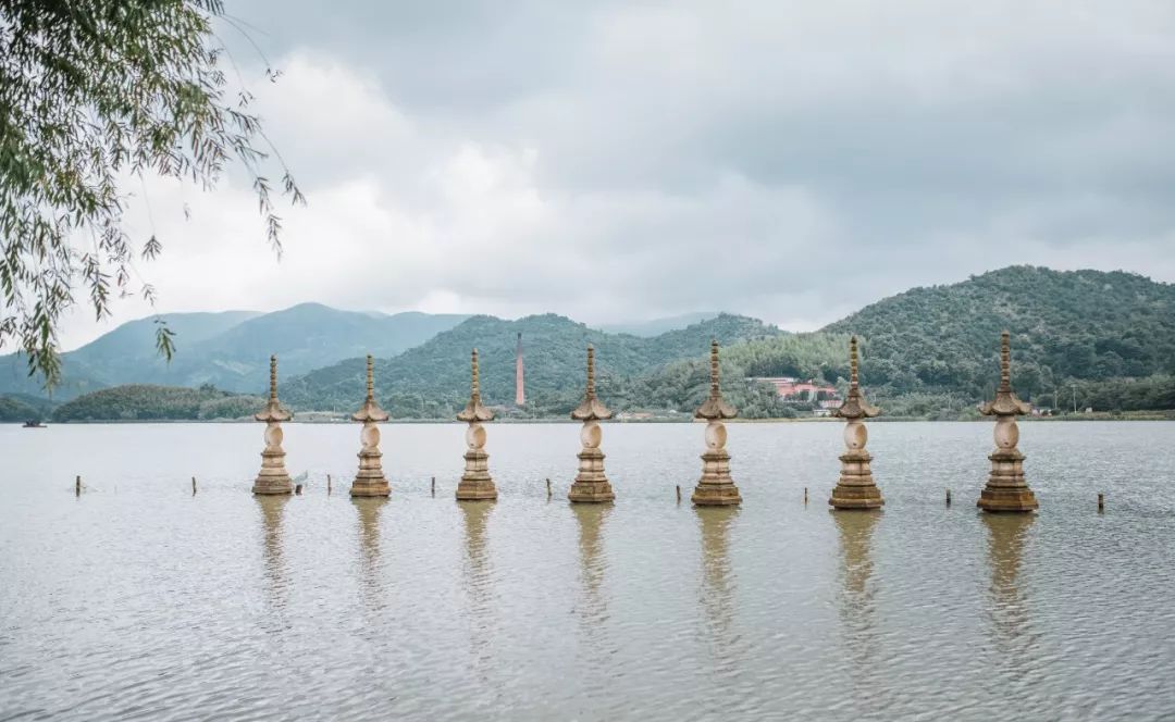 这座跟着周杰伦空降热搜的杨梅味小城，休渔期也能让你吃得满嘴鲜