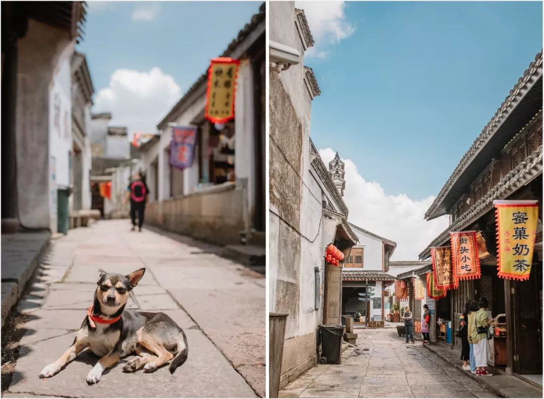 这座跟着周杰伦空降热搜的杨梅味小城，休渔期也能让你吃得满嘴鲜