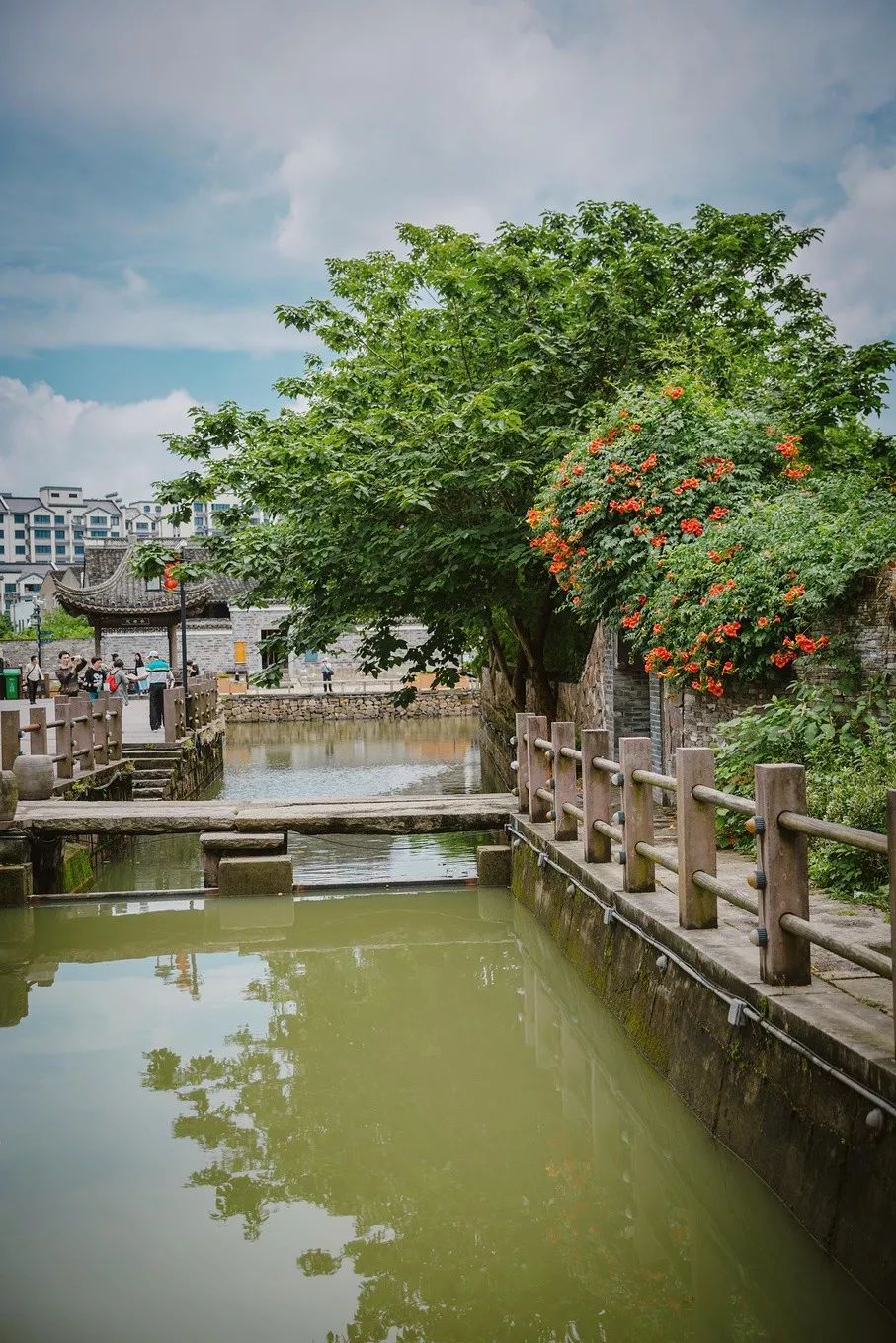 这座跟着周杰伦空降热搜的杨梅味小城，休渔期也能让你吃得满嘴鲜