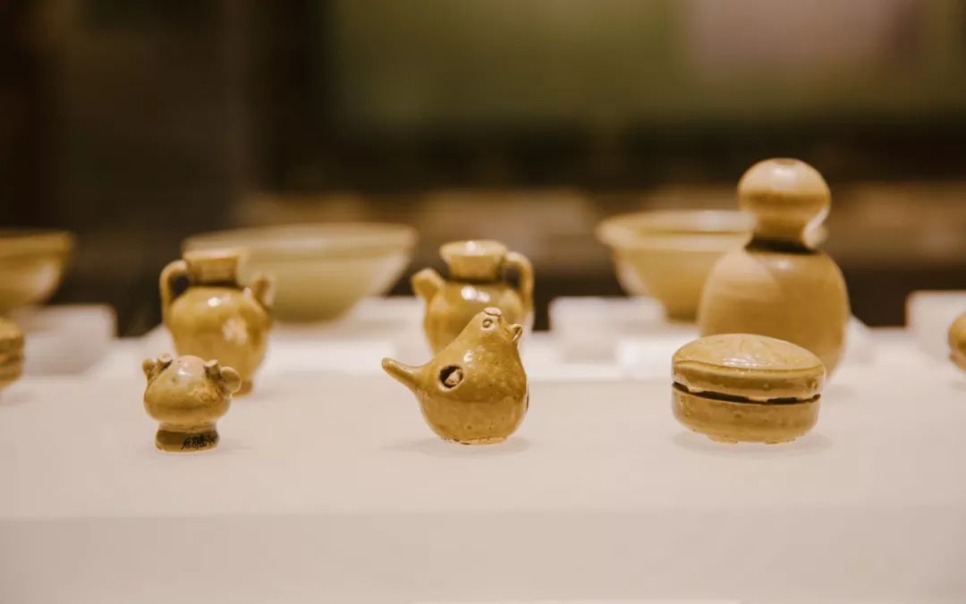 这座跟着周杰伦空降热搜的杨梅味小城，休渔期也能让你吃得满嘴鲜