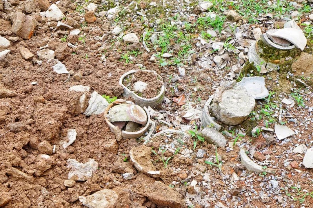 这座跟着周杰伦空降热搜的杨梅味小城，休渔期也能让你吃得满嘴鲜