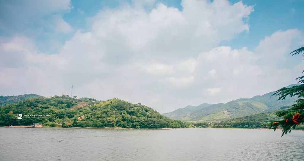 这座跟着周杰伦空降热搜的杨梅味小城，休渔期也能让你吃得满嘴鲜