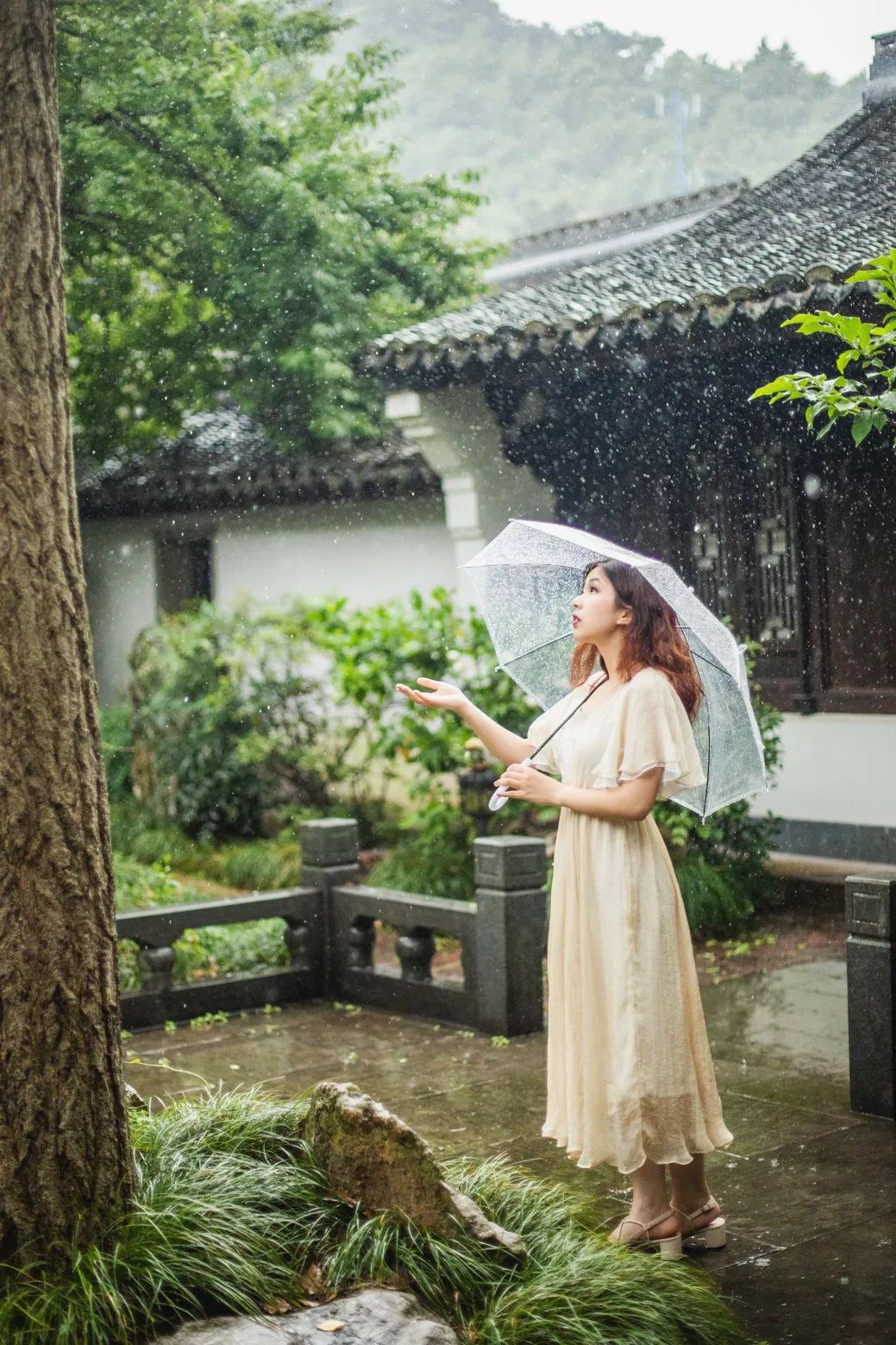 这座跟着周杰伦空降热搜的杨梅味小城，休渔期也能让你吃得满嘴鲜