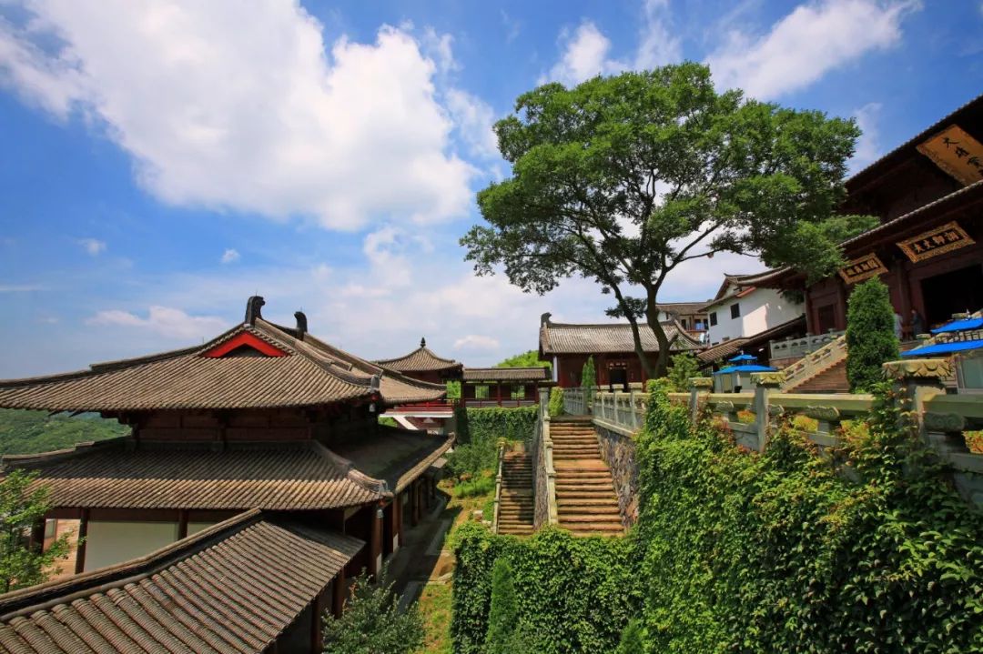 这座跟着周杰伦空降热搜的杨梅味小城，休渔期也能让你吃得满嘴鲜