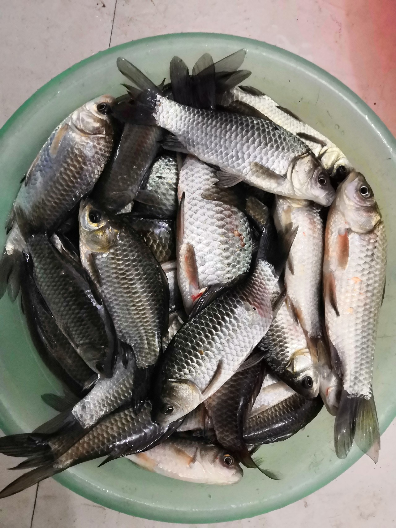 自制七星漂视频教程,自制七星漂调漂