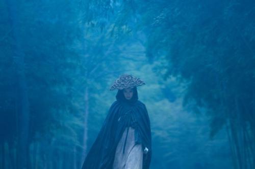 湖人詹皇头号真爱粉,湖人队的名人粉丝