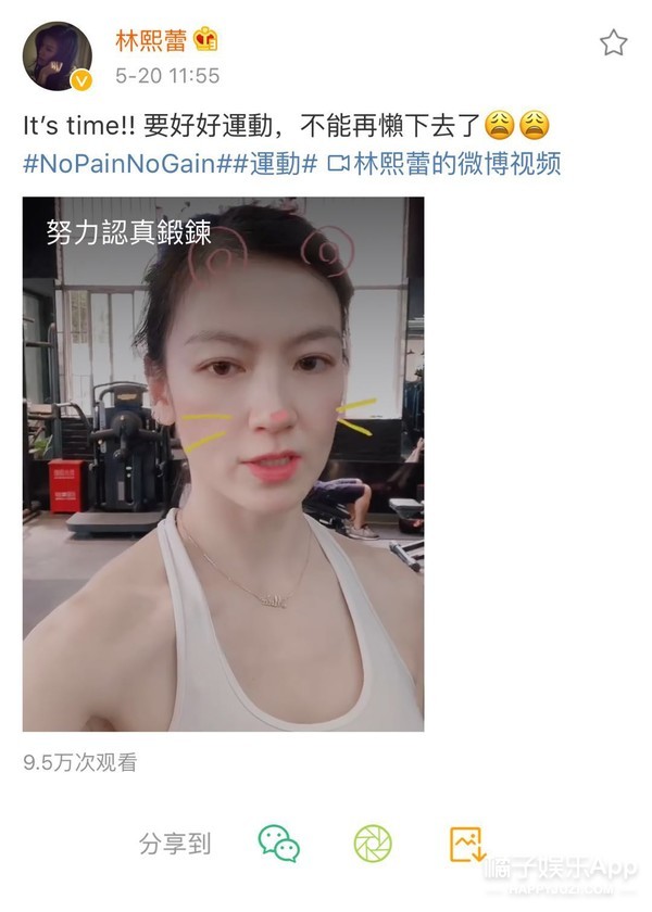 湖人詹皇头号真爱粉,湖人队的名人粉丝