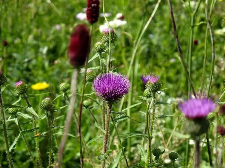 旅发大会沽源,张家口沽源旅发大会
