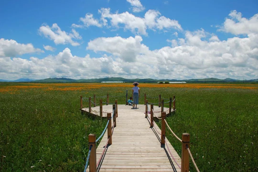 旅发大会沽源,张家口沽源旅发大会