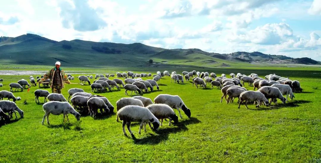 旅发大会沽源,张家口沽源旅发大会