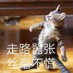怀孕的你，就是家人眼中最尊贵的大熊猫