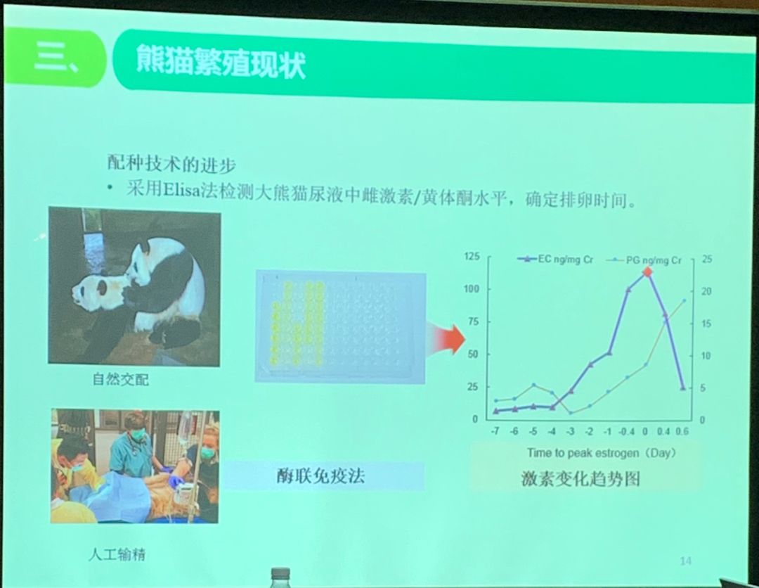 怀孕的你，就是家人眼中最尊贵的大熊猫