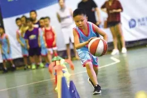 各年级暑假体育作业完整版,暑假体育作业视频