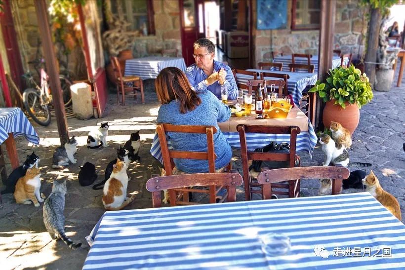 土耳其希腊爱琴海,希腊去土耳其多远