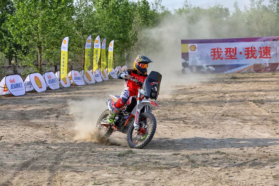 壳牌爱德王子,壳牌爱德王子全合成机油