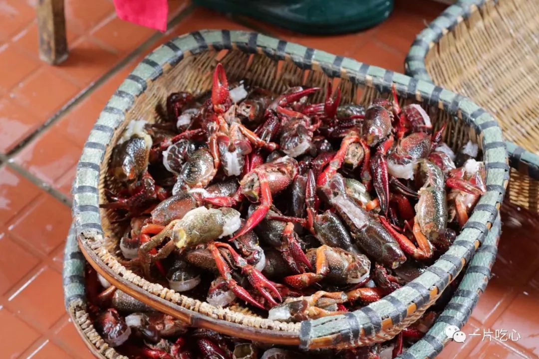 小龙虾必吃的十种店,小龙虾必吃的店