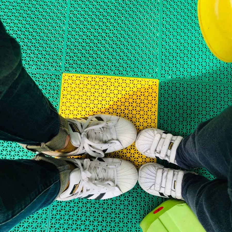 百合花课程,百合花课堂导入