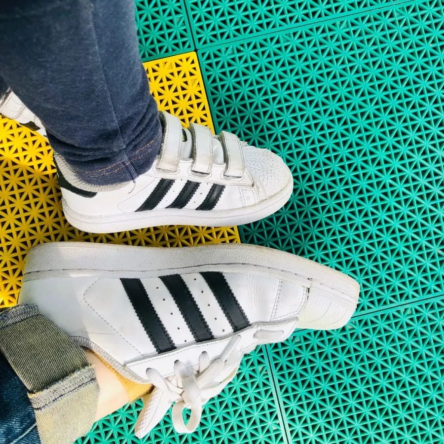 百合花课程,百合花课堂导入