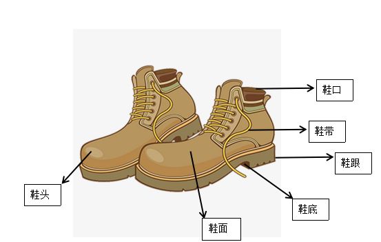 百合花课程,百合花课堂导入