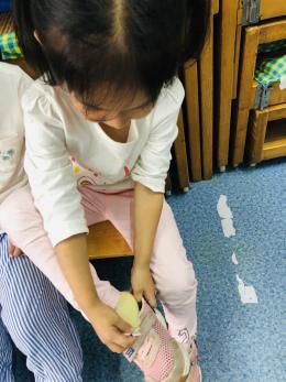 百合花课程,百合花课堂导入