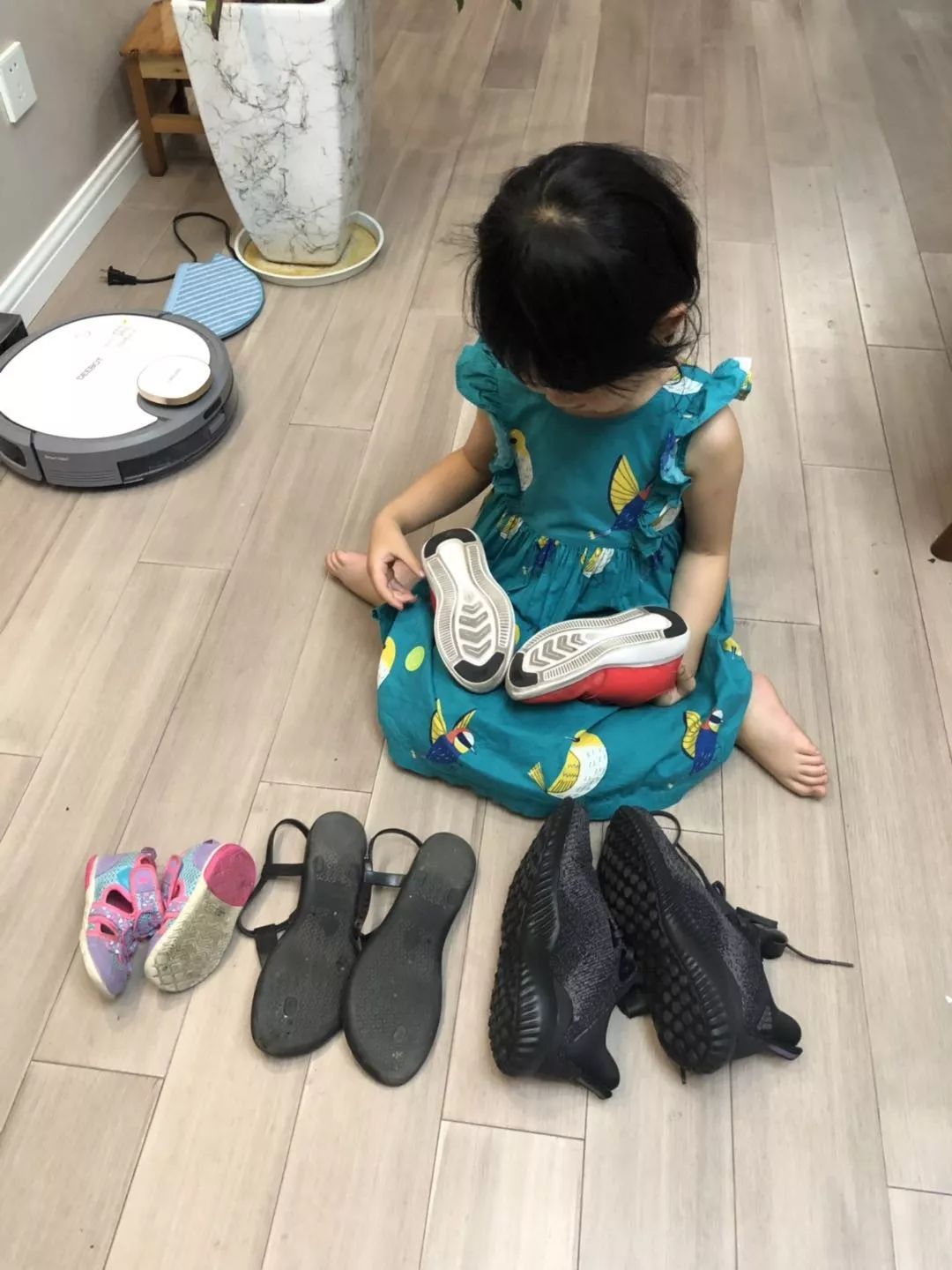 百合花课程,百合花课堂导入