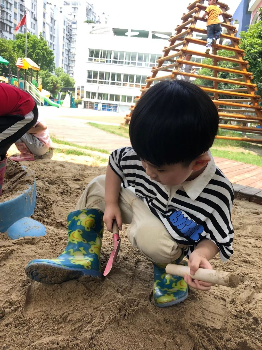 百合花课程,百合花课堂导入