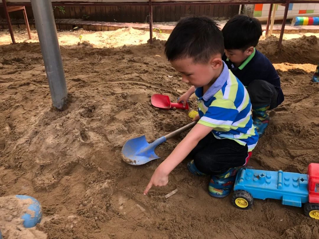 百合花课程,百合花课堂导入