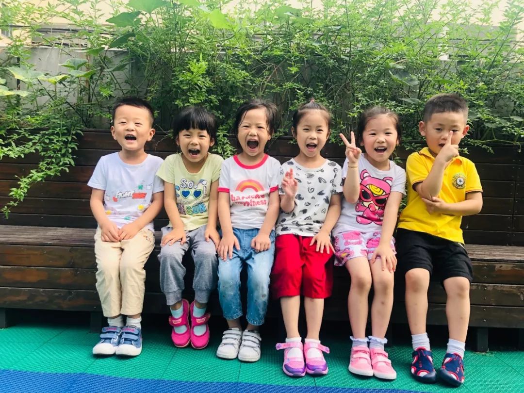 百合花课程,百合花课堂导入