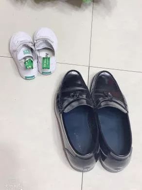 百合花课程,百合花课堂导入