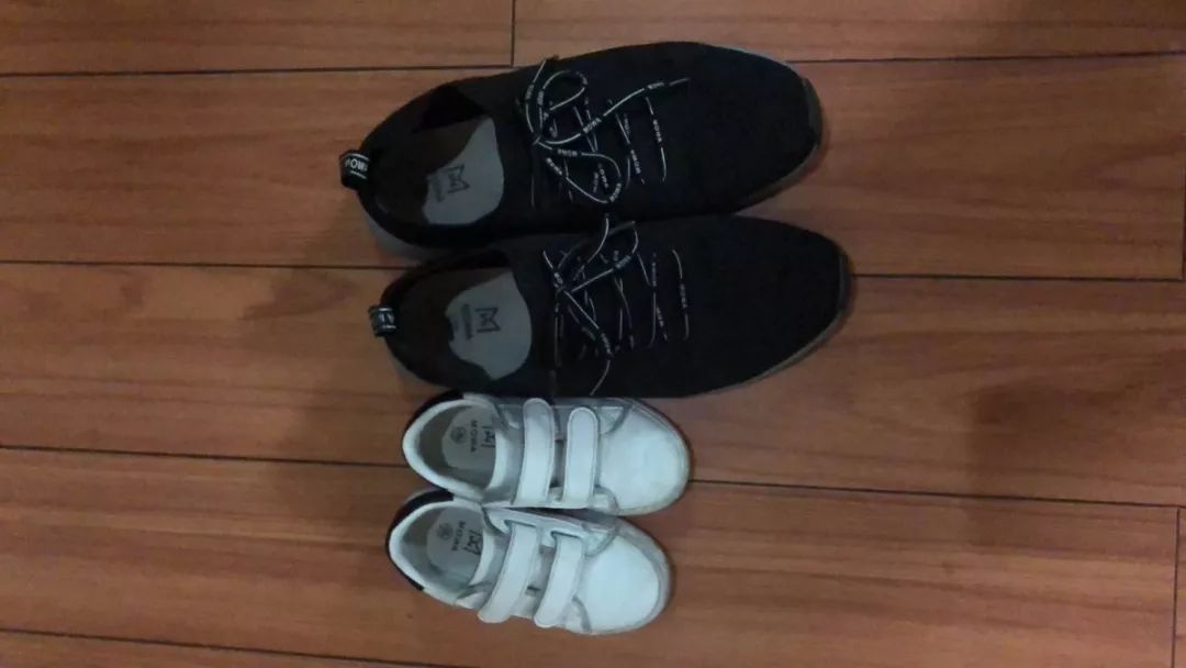 百合花课程,百合花课堂导入