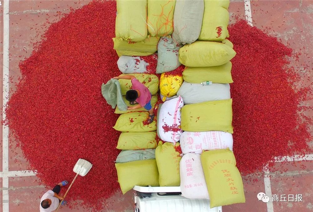 壮丽70年奋斗新时代四川篇,壮丽70年奋斗新时代兰考篇