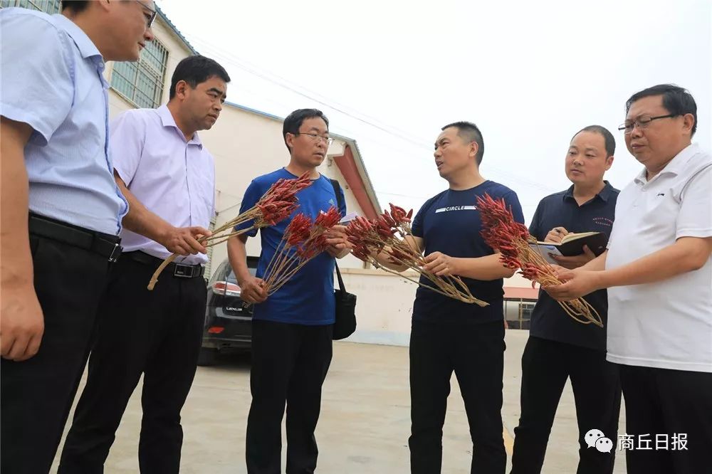 壮丽70年奋斗新时代四川篇,壮丽70年奋斗新时代兰考篇