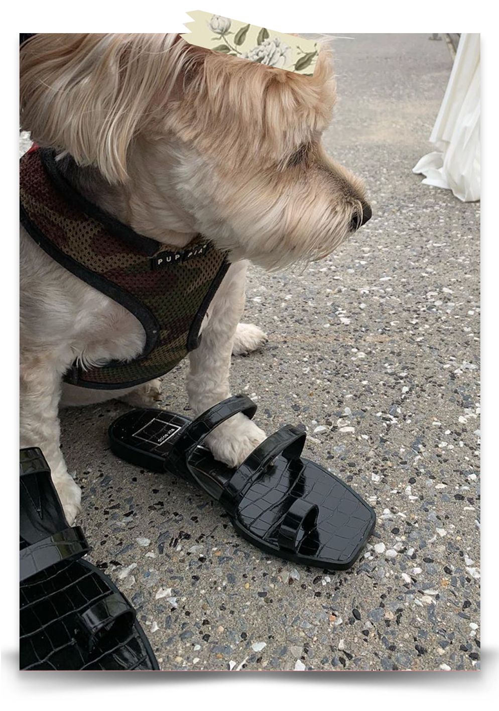 7月,你即将被这双鞋刷屏