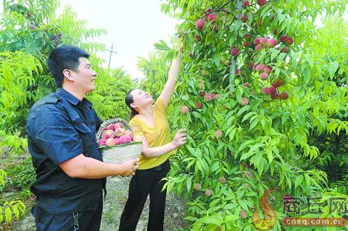 “点子支书”杨冬冬