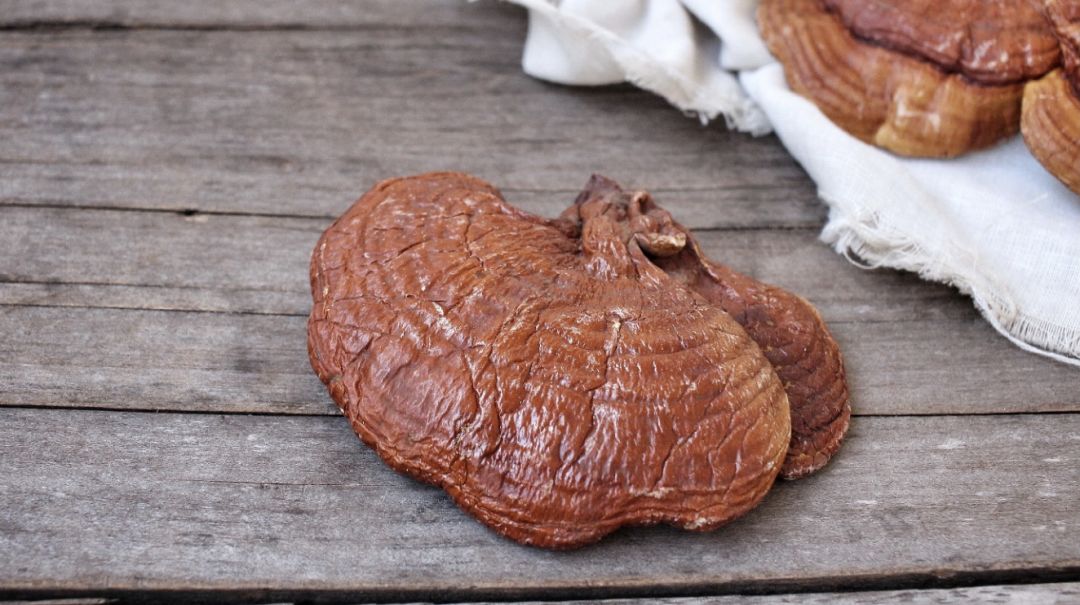 如何选择适合自己的养生方式,20岁以后该怎么生活