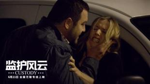 监护风云剧情详细介绍,监护风云普通话电影完整版